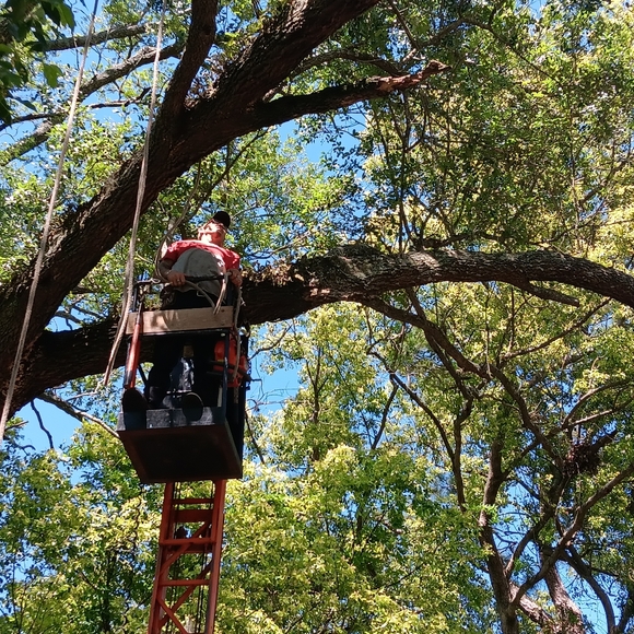 Artwork - Picture 5 of 5